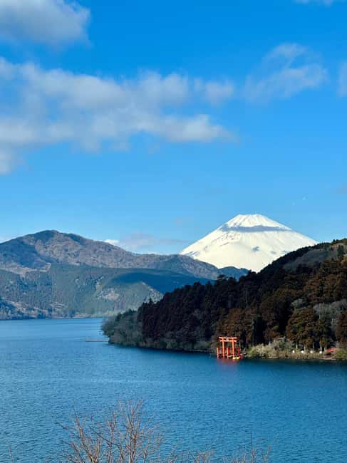 Tokyo: Mt. Fuji & Lake Kawaguchi Private Tour with Transfer - What the driver adds, and what to clarify