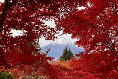 Mt.Fuji & Lake Kawaguchiko 1-Day Bus Tour w/Optional Lunch