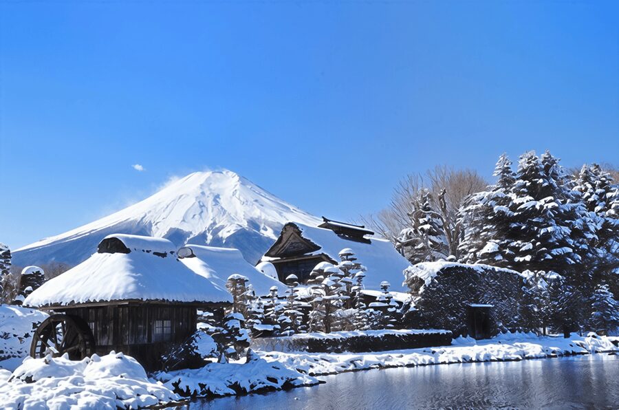 Tokyo: Mt Fuji Lake Kawaguchiko Tour & Arakuyama Sengen Park - Meeting at Tokyo Station Before 8 A.M.