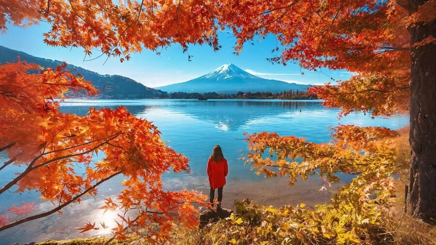 Tokyo: Mt Fuji Lake Kawaguchiko Tour & Arakuyama Sengen Park - Oshino Hakkai’s Clear Ponds and Traditional Setting