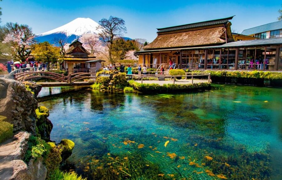 Tokyo: Mt Fuji Lake Kawaguchiko Tour & Arakuyama Sengen Park - What the $58 Price Really Covers