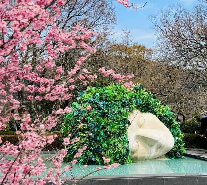 Tokyo: Mt. Fuji, Owakudani, Hakone Shrine, & Open-Air Museum - Owakudani, where the ground is still active