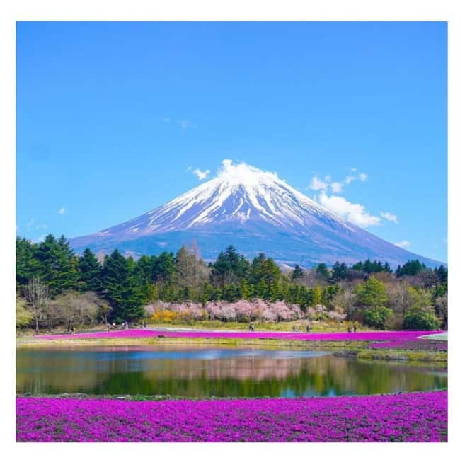 Tokyo: Mt Fuji Private Day Tour By English Driver Low Price - Key points to know before booking