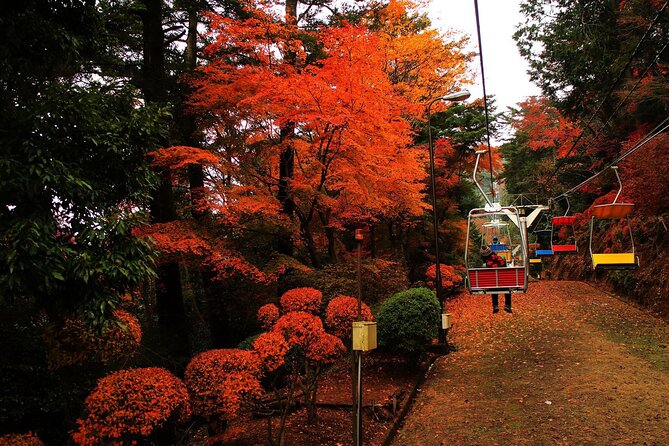 Tokyo: Mt Takao Tour with Ramen and Tattoo-Okay Hot Spring - Key points at a glance