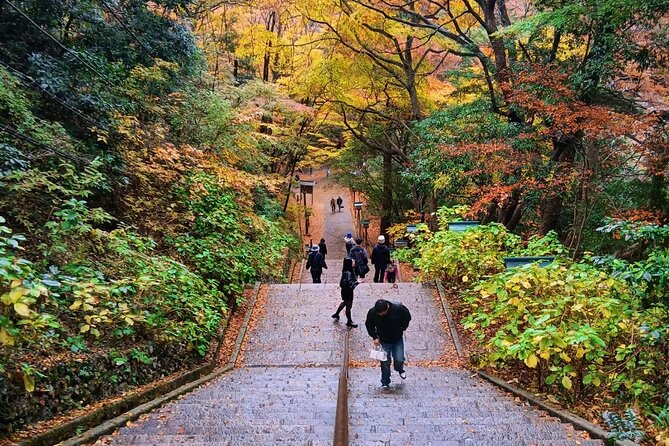 Tokyo: Mt Takao Tour with Ramen and Tattoo-Okay Hot Spring - Riding up before the walking begins