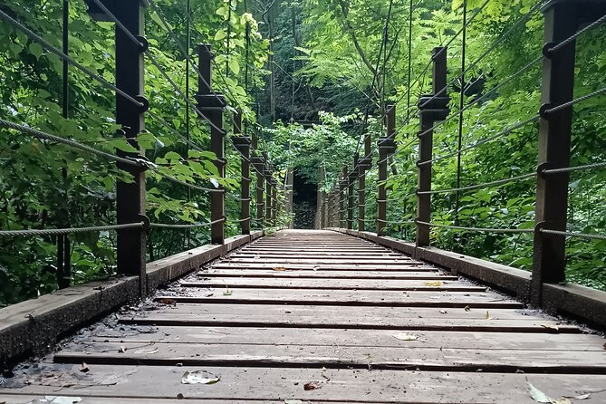 Tokyo: Mt Takao Tour with Ramen and Tattoo-Okay Hot Spring - Hachioji Ramen, soba, and a well-timed lunch