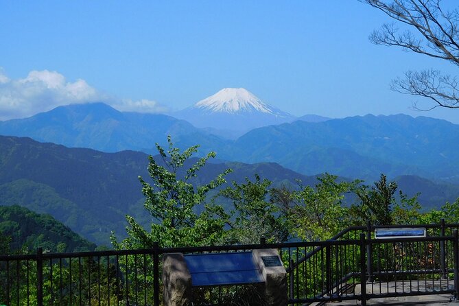 Tokyo: Mt Takao Tour with Ramen and Tattoo-Okay Hot Spring - Starting with the Takao 599 Museum