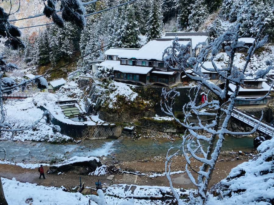 Tokyo/Nagano: private Tour with Snow Monkey Park & Temples - The day in six useful points