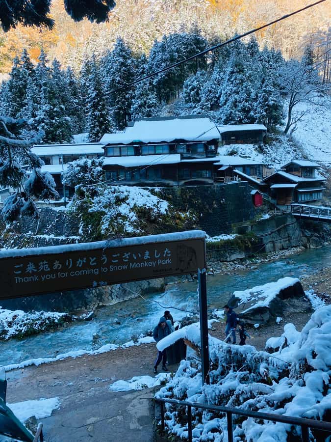 Tokyo/Nagano: private Tour with Snow Monkey Park & Temples - Is the long drive from Tokyo worth it?