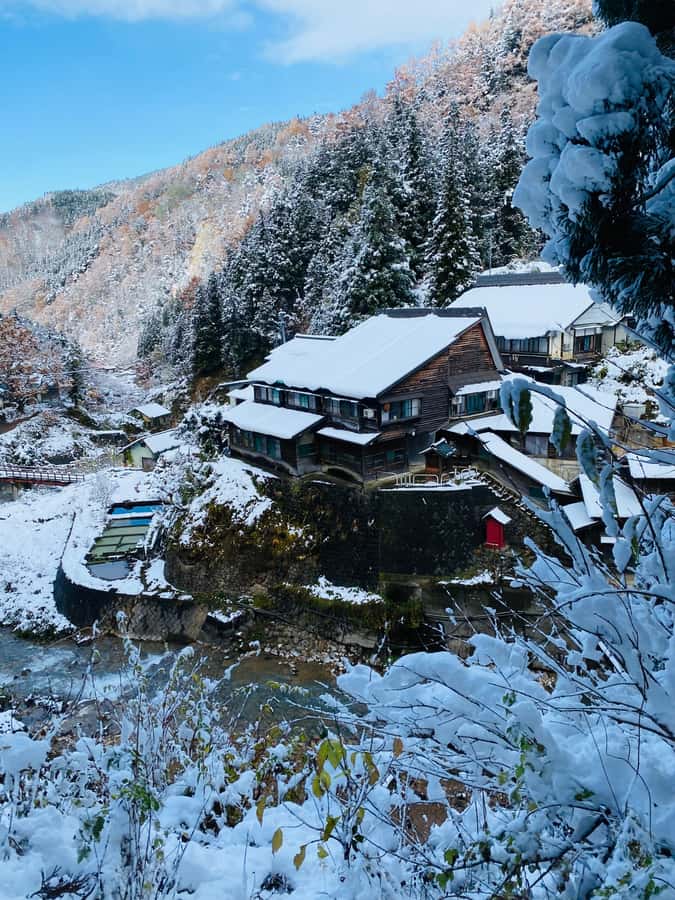 Tokyo/Nagano: private Tour with Snow Monkey Park & Temples - Zenkoji Temple brings history and quiet