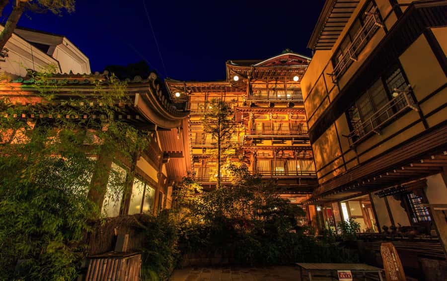 Tokyo/Nagano: private Tour with Snow Monkey Park & Temples - A private guide can change the shape of the day