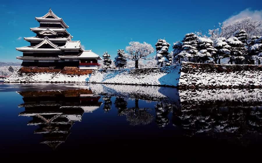 Tokyo/Nagano: private Tour with Snow Monkey Park & Temples - What the $412 price really buys