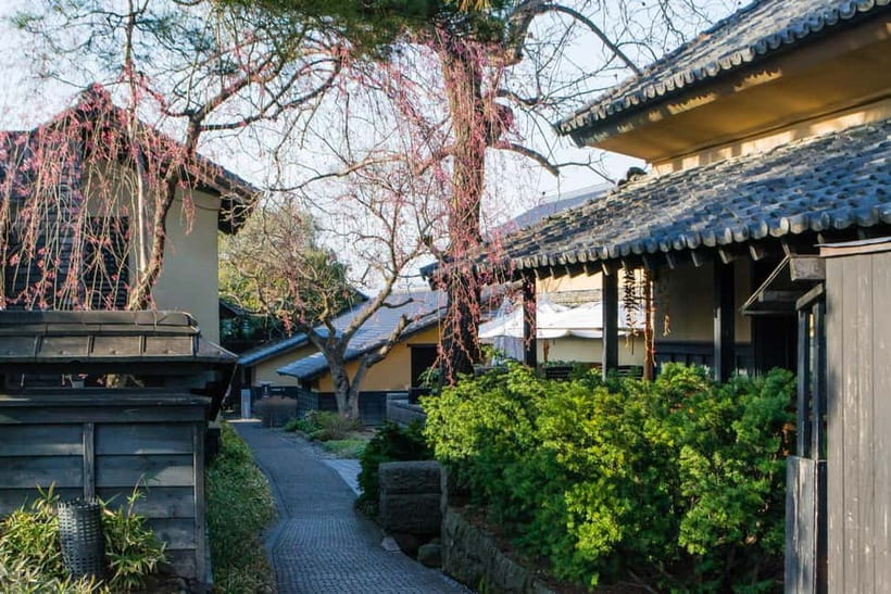 Tokyo: Nagano Snow Monkeys and Zenkoji Tour with Temples - Guides and service style