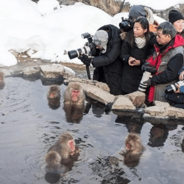 Tokyo: Nagano Snow Monkeys and Zenkoji Tour with Temples - Obuse offers a slower town stop