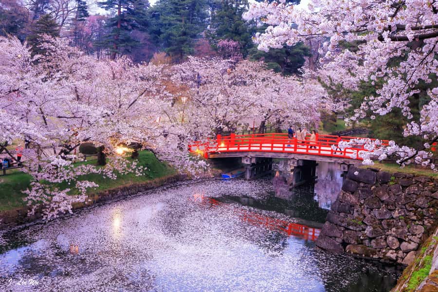Tokyo: Nikko Day Tour Shrines, Lake Chūzenji & Kegon Falls - Key points to know before booking