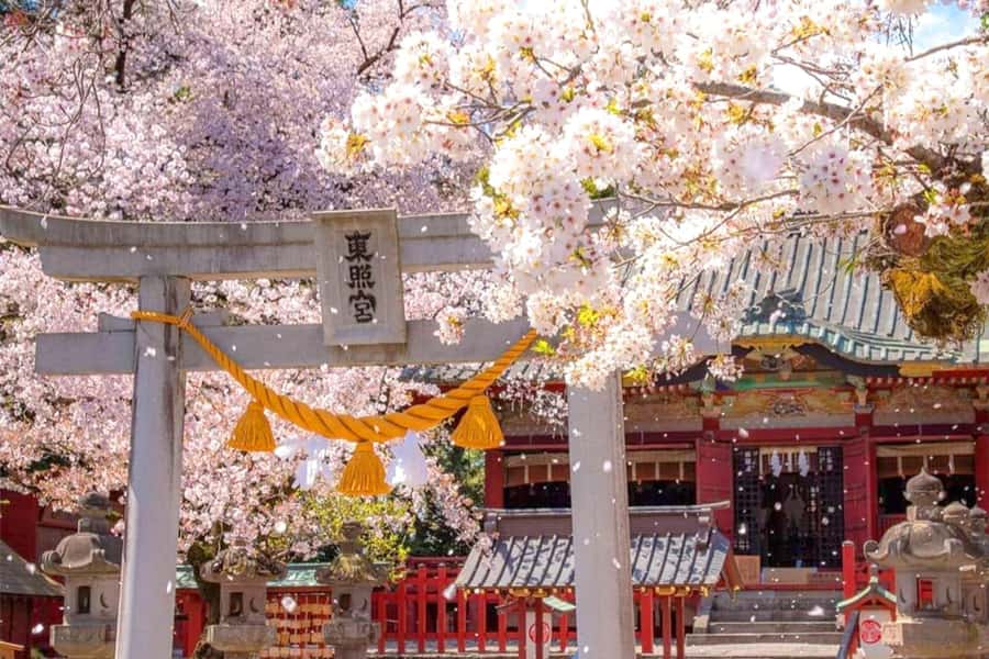 Tokyo: Nikko Day Tour Shrines, Lake Chūzenji & Kegon Falls - Toshogu Shrine and the ornate heart of Nikko