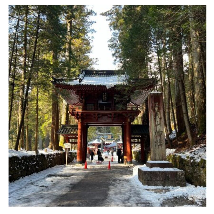 Tokyo: Nikko Day Tour Shrines, Lake Chūzenji & Kegon Falls - Lake Chūzenji and Kegon Falls