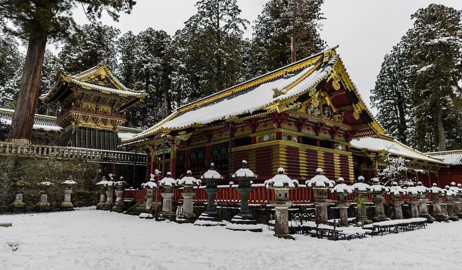 Tokyo: Nikko Day Tour with English Driver and Flexible … - Nikko National Park for a breath of open space