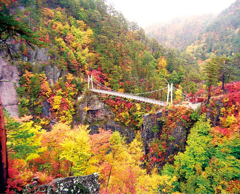 Tokyo: Nikko Day Tour with English Driver and Flexible … - Akechidaira Ropeway and views from above