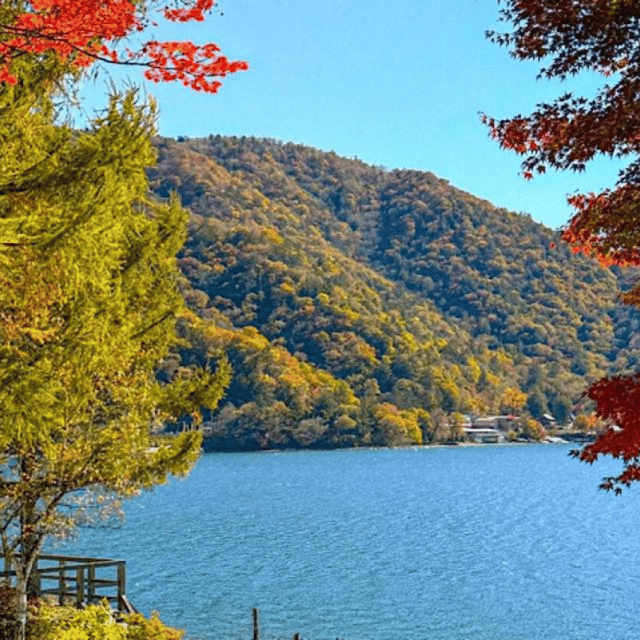 Tokyo → Nikko:Private Customizable Day Trip (English Driver) - Adding Edo Wonderland to the day