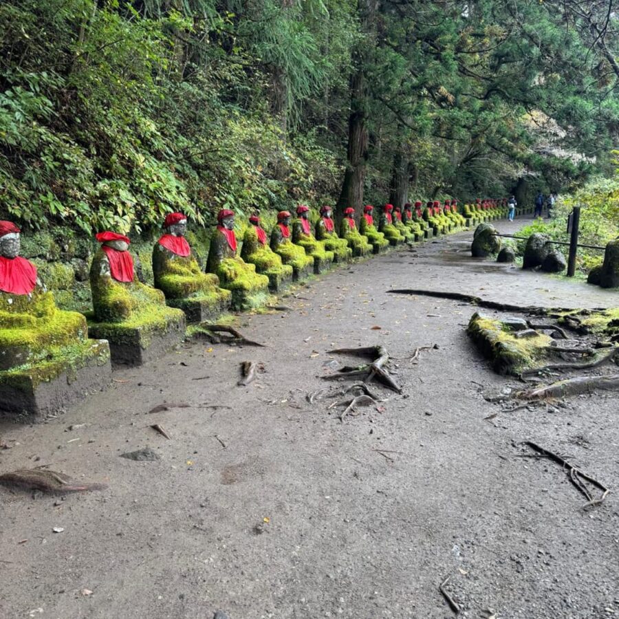 Tokyo → Nikko:Private Customizable Day Trip (English Driver) - Rinnoji and the central shrine district