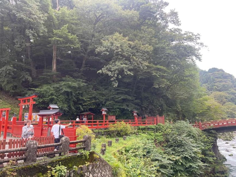 Tokyo: Nikko Private Customize Tour English Driver & Guide - A private car with room for up to six people