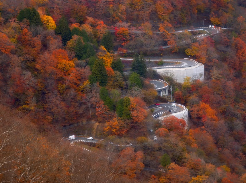 Tokyo: Nikko Private Day Tour With Guide - Why Nikko makes a strong day trip from Tokyo