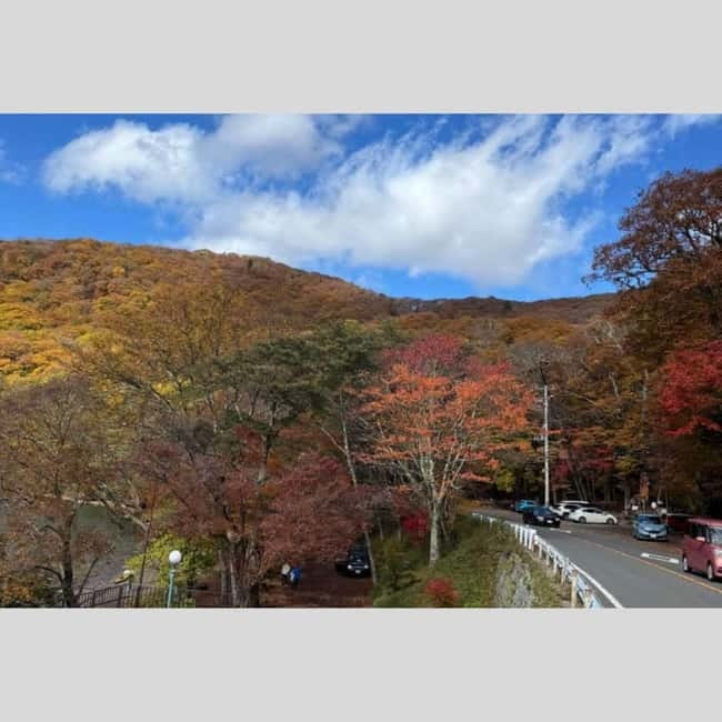Tokyo: Nikko World Heritage Private Day Trip Hotel Pick-up - Key points to know before you book