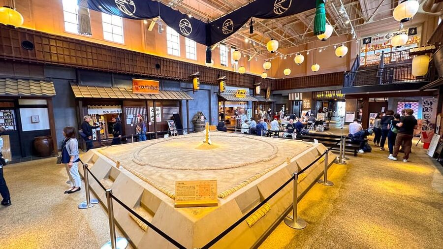 Tokyo: Not a show- a professional sumo practice with experts - Who will enjoy this most?