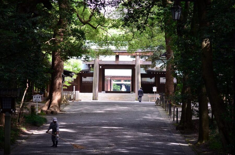 Tokyo: Personalized Private 6-Hour Tour - Public transportation, walking, and the real pace