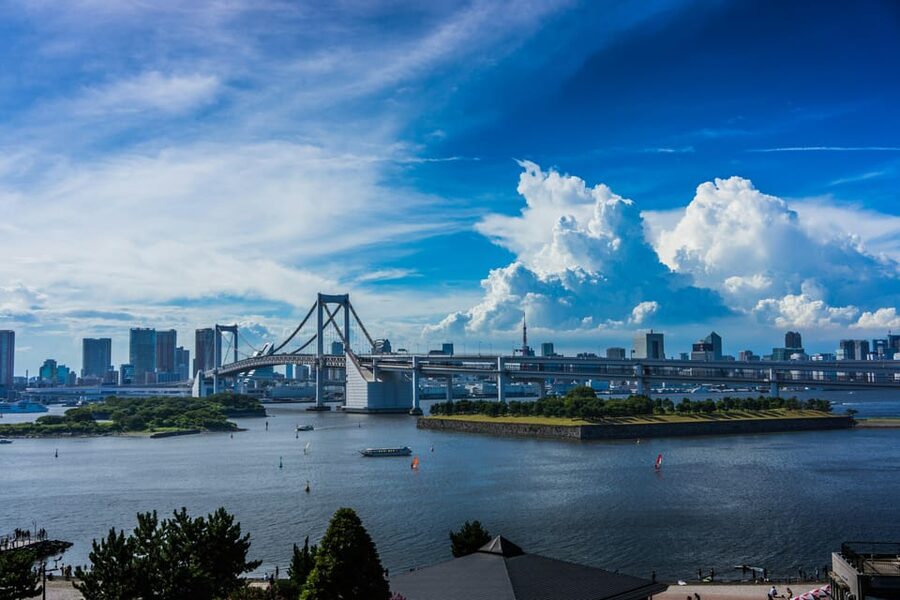 Tokyo: Personalized Private 6-Hour Tour - Starting at your Tokyo hotel
