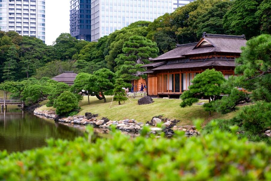 Tokyo: Personalized Private 6-Hour Tour - Harajuku in 30 minutes