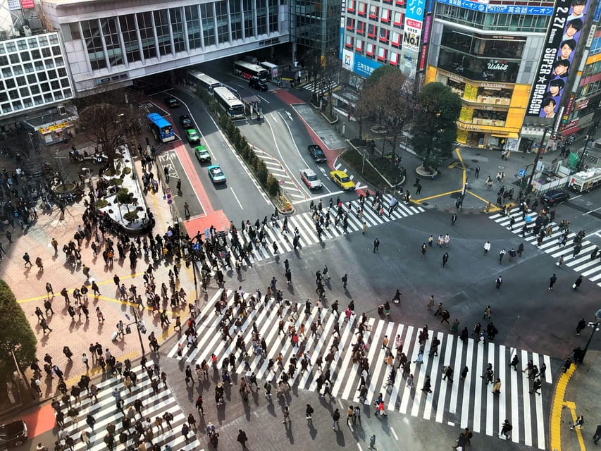 Tokyo: Personalized Private 6-Hour Tour - What the guides add to the day