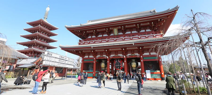 Tokyo: Private City Highlights Tour with Local Guide - Meiji Jingu and Harajuku: forest, faith, and youth culture