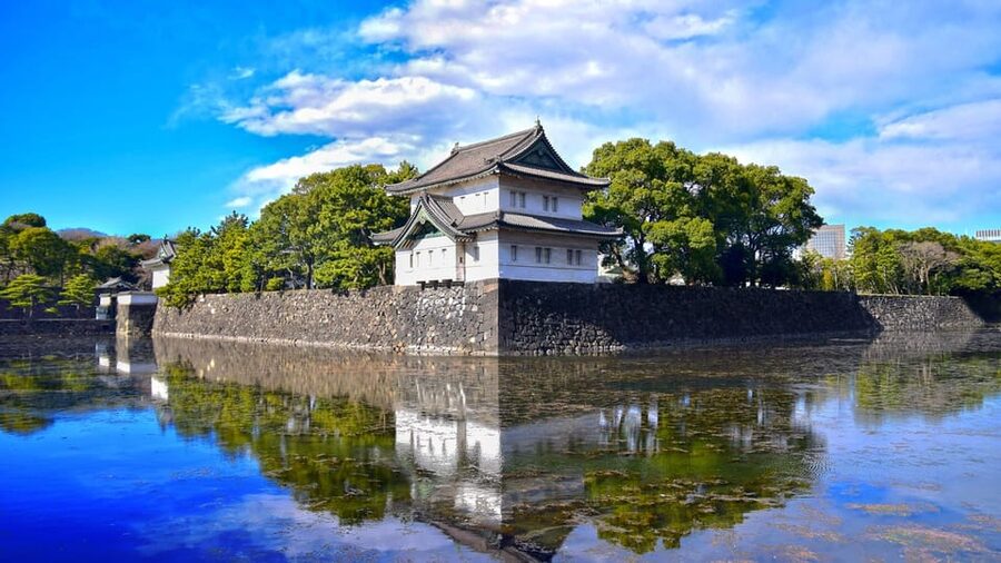Tokyo: Private City Highlights Tour with Local Guide - Akihabara, Nezu, and quieter choices