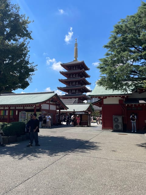 Tokyo: Private City Highlights Tour - Meiji Shrine’s quiet forest paths