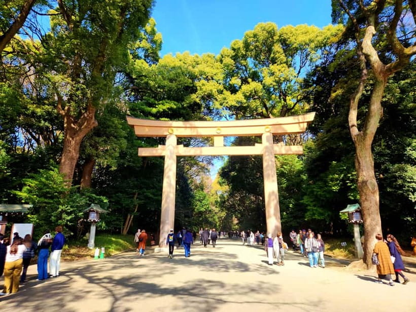 Tokyo: Private & Customizable Tour - All-in-One Experience - Who Will Get the Most From This Tour?