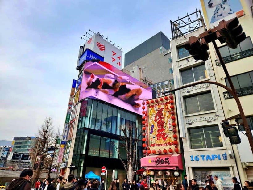 Tokyo: Private & Customizable Tour - All-in-One Experience - Full-Day Sightseeing With Room to Change Plans