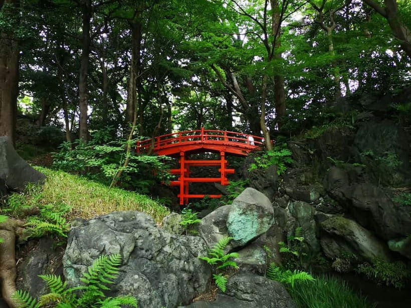 Tokyo: Private & Customizable Tour - All-in-One Experience - Food, Local Customs, and Useful Street Advice