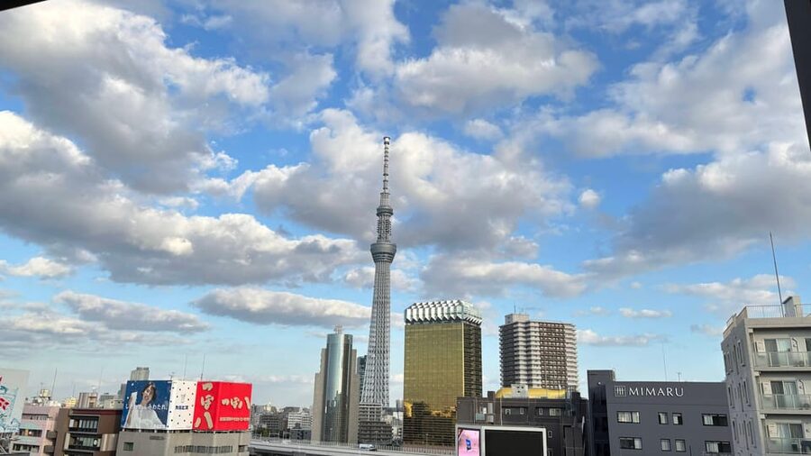 Tokyo: Private Customizable Tour with a Local Guide - Key points at a glance