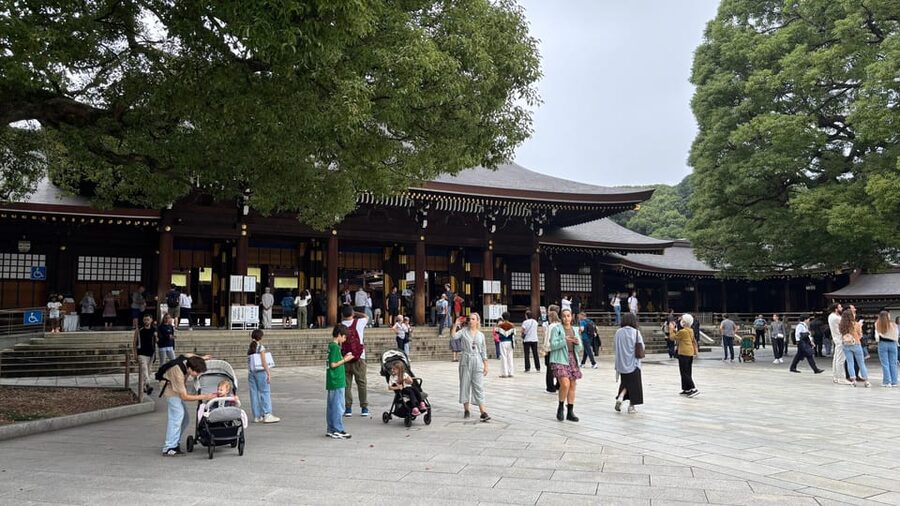 Tokyo: Private Customizable Tour with a Local Guide - A private Tokyo day with room to change course