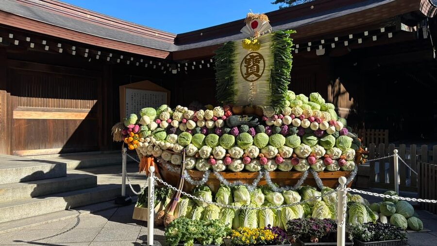 Tokyo: Private Customizable Tour with a Local Guide - Meiji Shrine and Harajuku: a calmer stop beside youth fashion