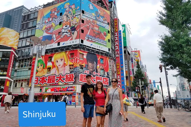 Tokyo Private Customized Walking Tour (Option Car Tour Available) - Why a private Tokyo tour can work better than a fixed route