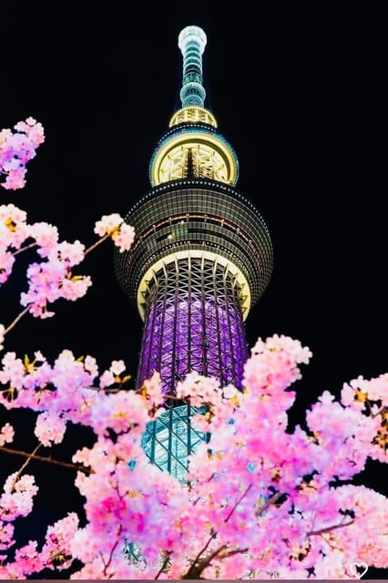 Tokyo Private Day Trip With English Speaking Driver - Pickup, timing, and extra charges