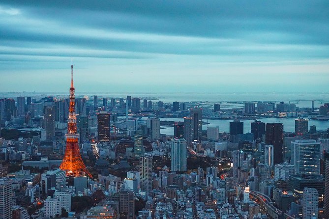 Tokyo Private Full-Day Tour by Car or Van - Shibuya Crossing supplies the classic Tokyo scene