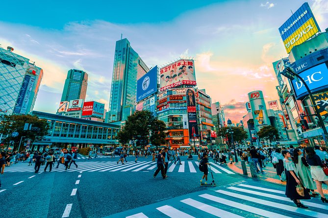 Tokyo Private Full-Day Tour by Car or Van - Odaiba works best when daylight remains