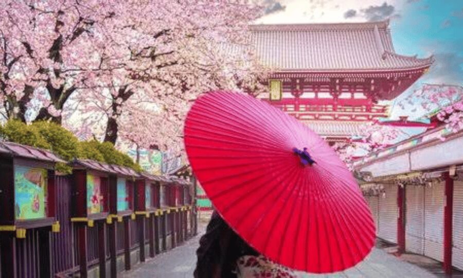 Tokyo: Private Guided Tour with Hotel Pickup and Drop-off - Why a private car helps in sprawling Tokyo