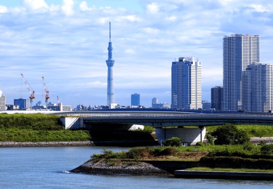 Tokyo: Private Guided Tour with Hotel Pickup and Drop-off - Tokyo Skytree brings the best city view, with a queue warning
