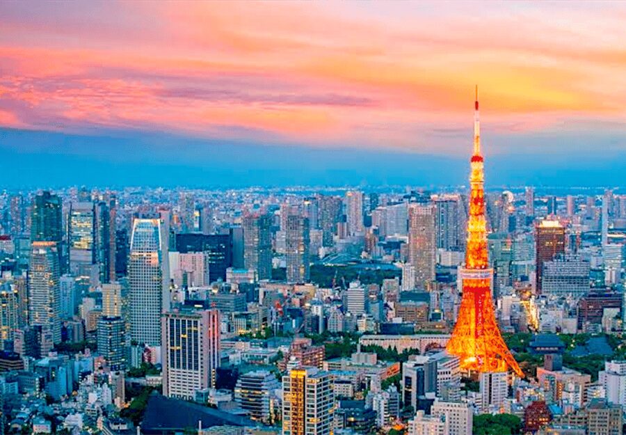Tokyo: Private Guided Tour with Hotel Pickup and Drop-off - Meiji Shrine gives the city day a quiet pause