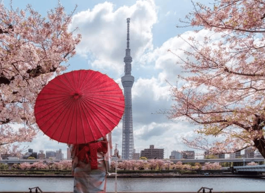 Tokyo: Private Guided Tour with Hotel Pickup and Drop-off - Harajuku and Shibuya show Tokyo’s modern street life